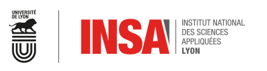INSA.png